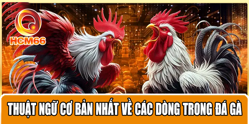 Thuật Ngữ Đá Gà Từ A Đến Z Cho Người Mới Cần Biết Khi Chơi 2 Thuật ngữ cơ bản nhất về các dòng trong đá gà