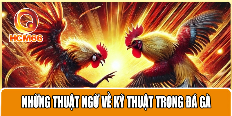 Thuật Ngữ Đá Gà Từ A Đến Z Cho Người Mới Cần Biết Khi Chơi 3 Những thuật ngữ về kỹ thuật trong đá gà