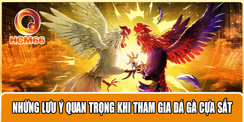 Top những kinh nghiệm hàng đầu cần trang bị khi đá gà cựa sắt 4 Những lưu ý quan trọng khi tham gia đá gà dạng cựa sắt